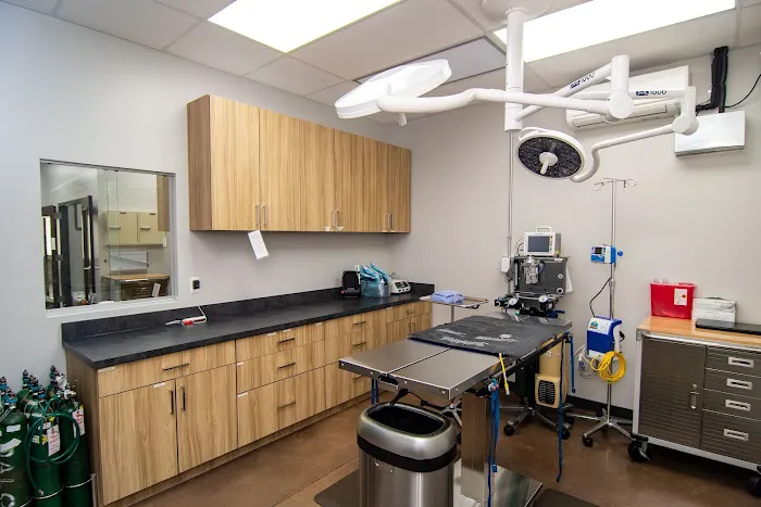 Warm & Fuzzy Veterinary Center 12
