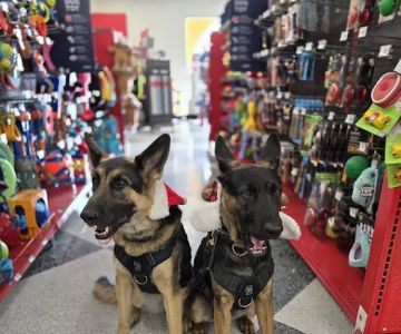 Petco