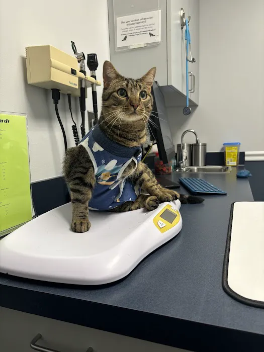 Yellow Springs Veterinary Clinic 12