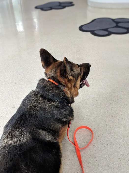 Yellow Springs Veterinary Clinic 12