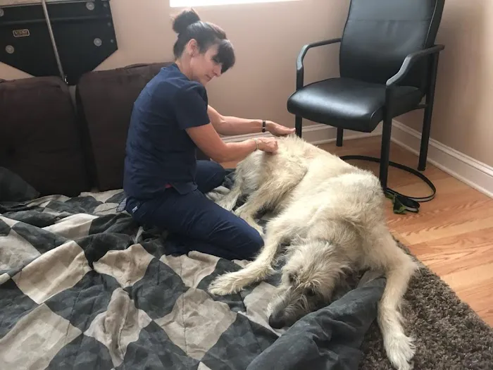 Yellow Springs Veterinary Clinic 12
