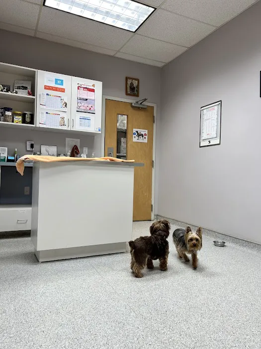 Old Farm Veterinary Hospital 12