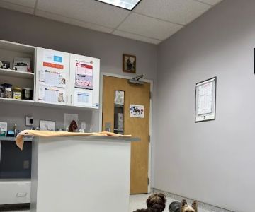 Old Farm Veterinary Hospital