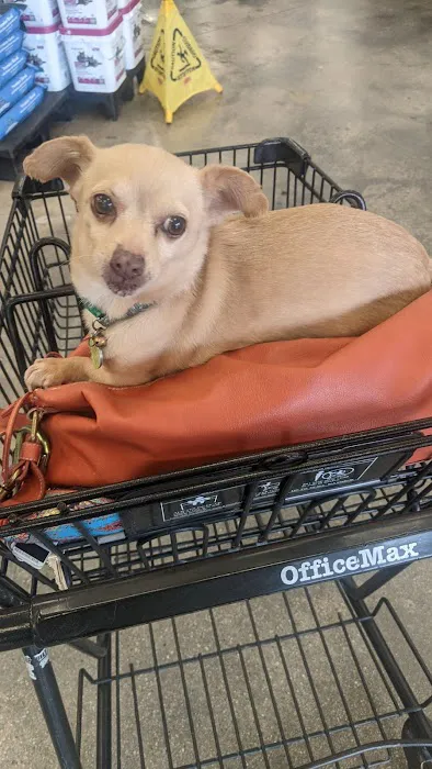 Petco 12