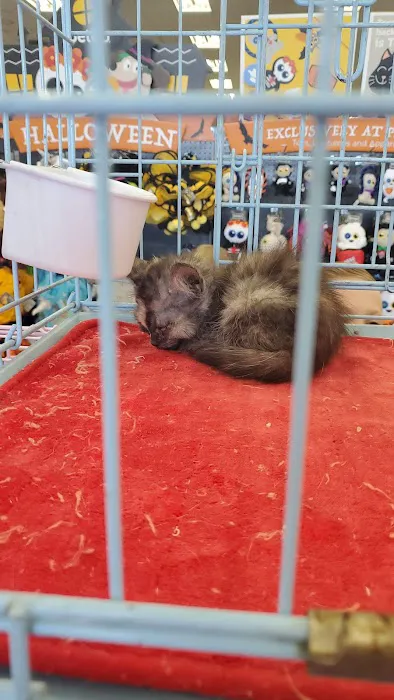 Petco 12