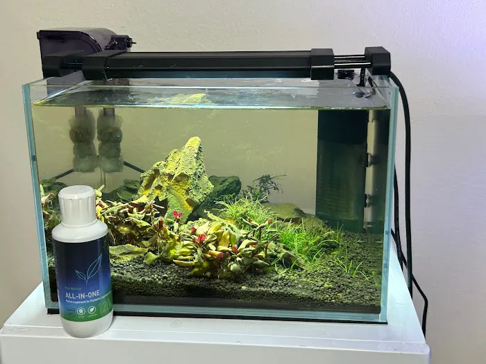 Tropical Waters 12