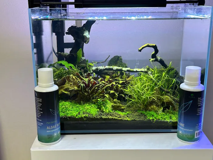 Tropical Waters 12