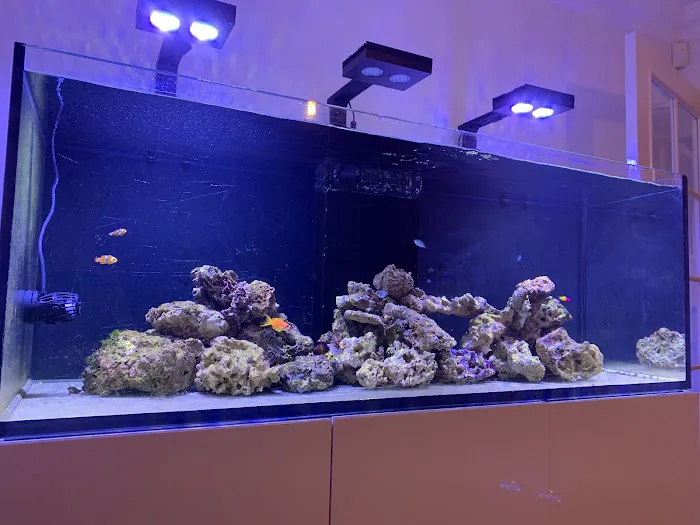 Tropical Waters 12