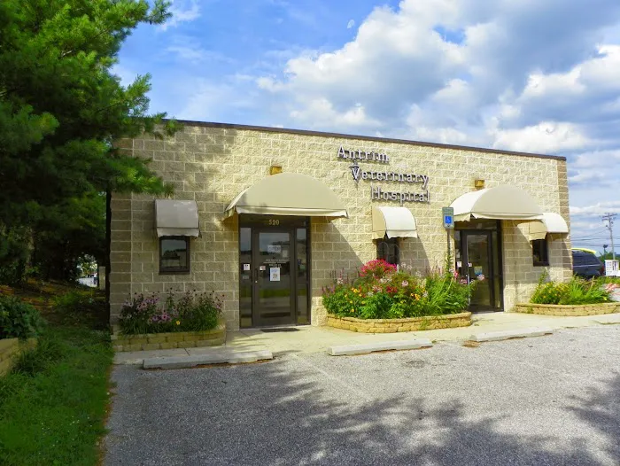 Antrim Veterinary Hospital, LLC 12