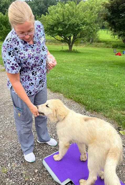 Keysville Mobile Veterinary Services LLC 12