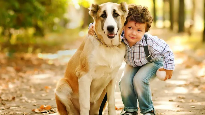 Bay Area Veterinary Hospital 12