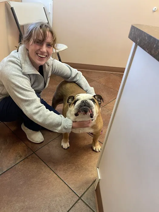 Bay Area Veterinary Hospital 12