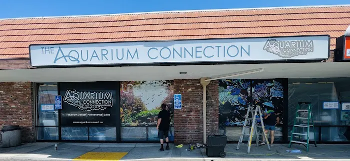 The Aquarium Connection 12