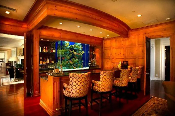 The Aquarium Connection 12