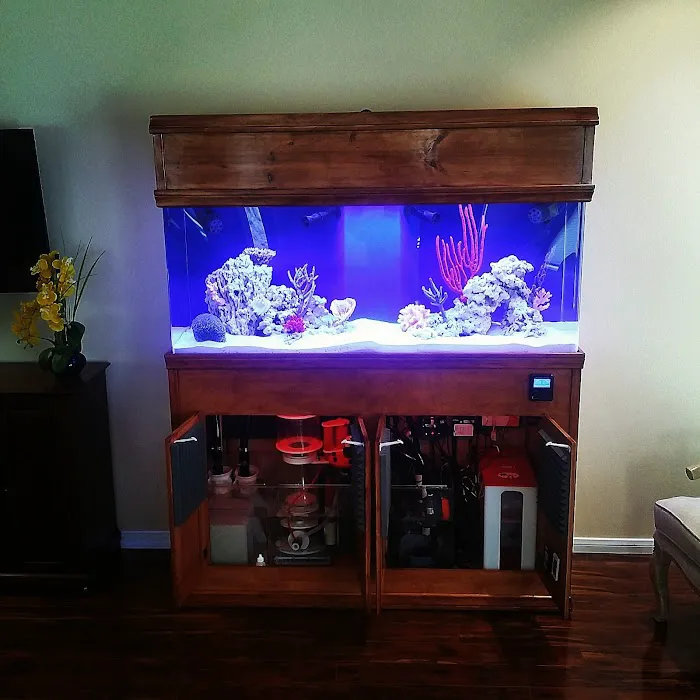 The Aquarium Connection 12