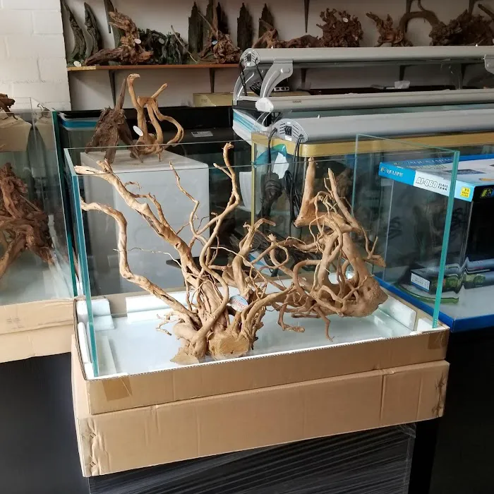 The Aquarium Connection 12