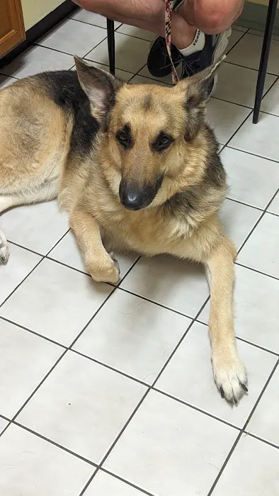Chesapeake Veterinary Hospital 12