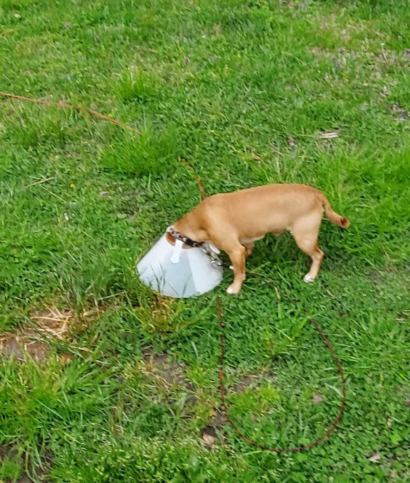 Shore Pet Surgery 10