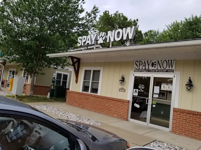 Shore Pet Surgery 3