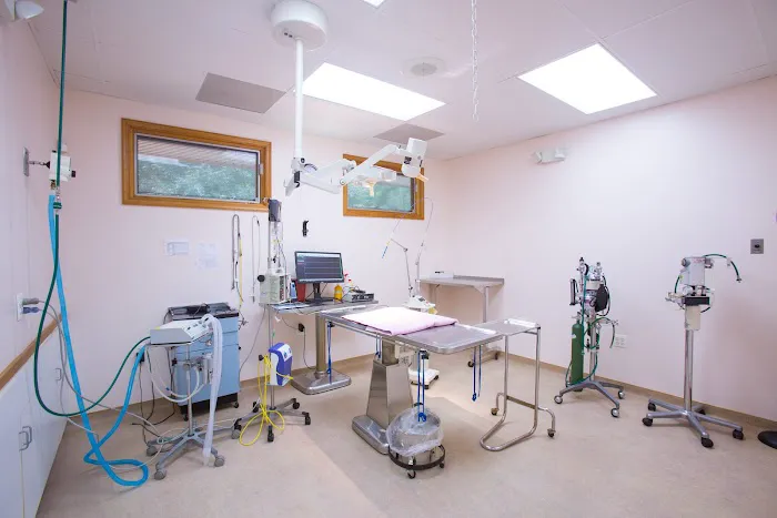 Breton Veterinary Hospital 12