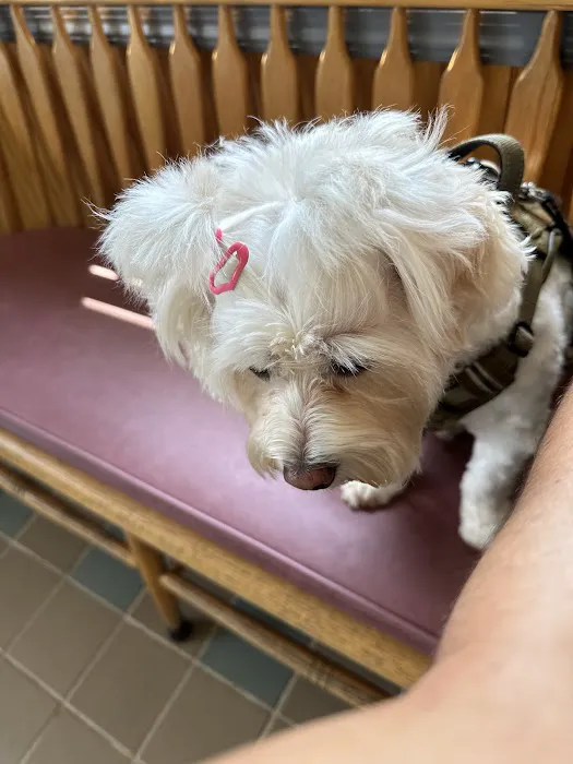 VCA Three Notch Animal Hospital 12