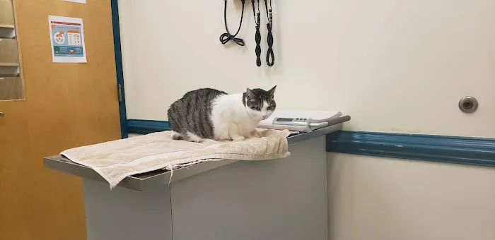 VCA Three Notch Animal Hospital 12