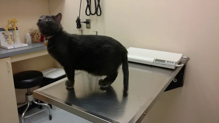VCA Three Notch Animal Hospital 12