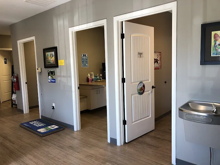 Foothills Veterinary Hospital - South 2