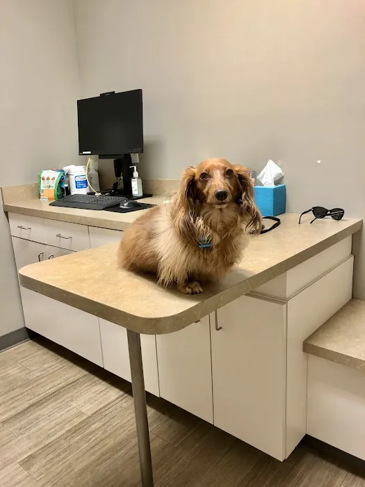 Foothills Veterinary Hospital - South 1