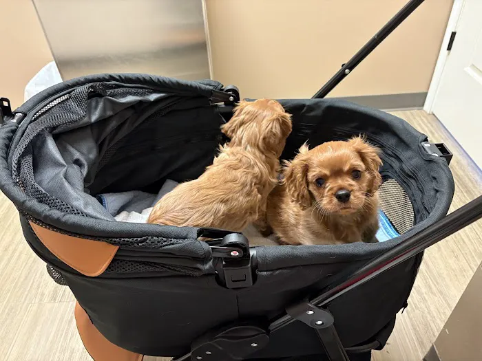 Foothills Veterinary Hospital - South 6