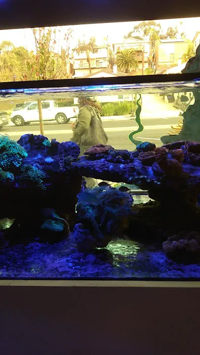 Nocturnal Reef - Tropical Fish and Coral 1