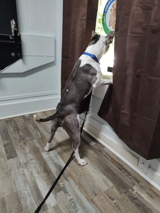 Madison Animal Hospital 12