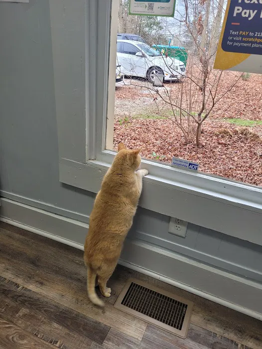 Madison Animal Hospital 12