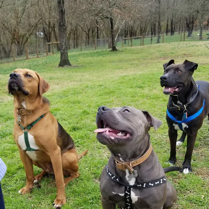 Madison Animal Hospital 12