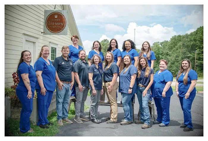 Comer Veterinary Hospital 12
