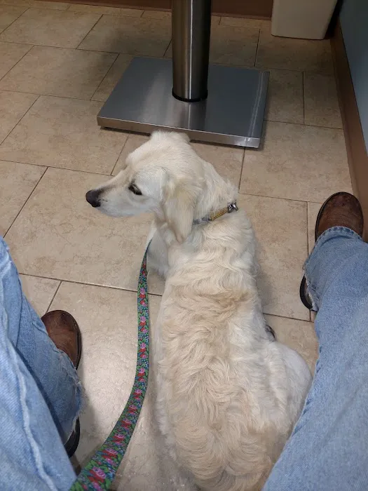 Comer Veterinary Hospital 12