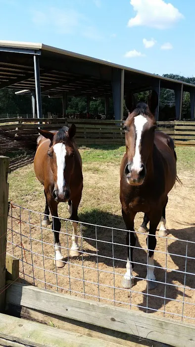 Maggie's Menagerie Veterinary Services 12