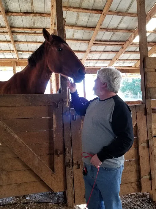 Maggie's Menagerie Veterinary Services 12