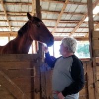 Maggie's Menagerie Veterinary Services ico