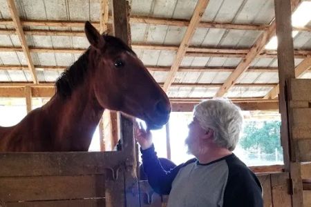 Maggie's Menagerie Veterinary Services