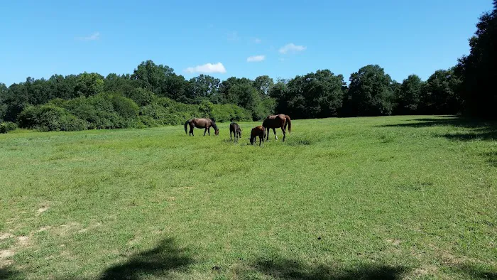 Maggie's Menagerie Veterinary Services 12