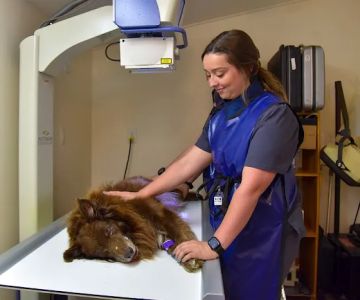 Ila Veterinary Clinic