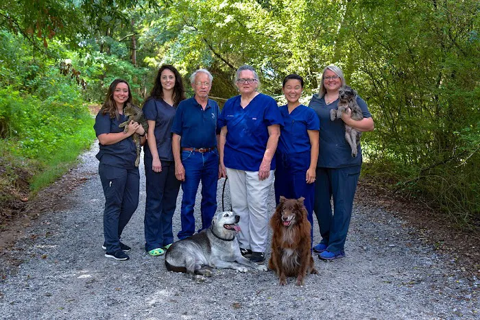 Ila Veterinary Clinic 12
