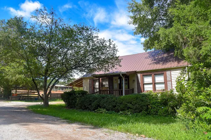 Ila Veterinary Clinic 12