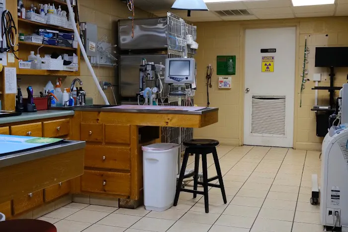 Blairsville Animal Hospital 12