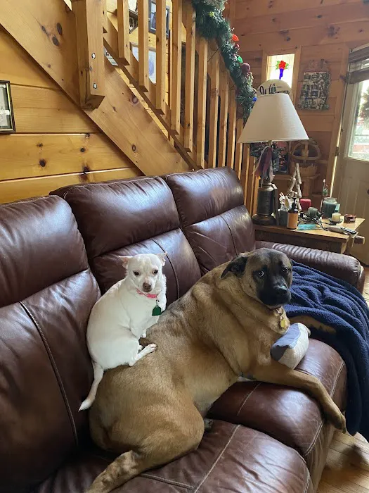 Blairsville Animal Hospital 12
