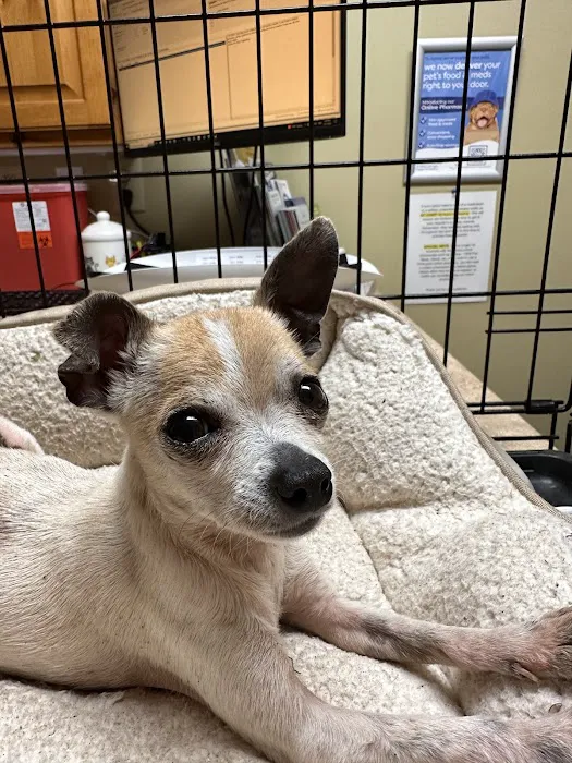 Blairsville Animal Hospital 12
