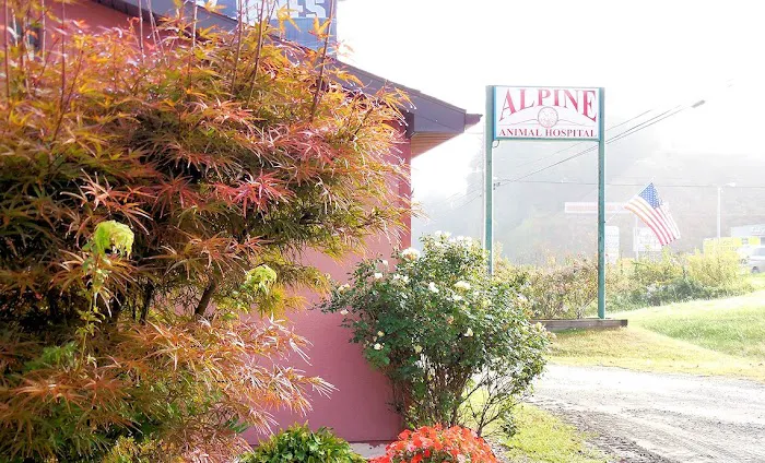 Alpine Animal Hospital & Veterinary Services 8