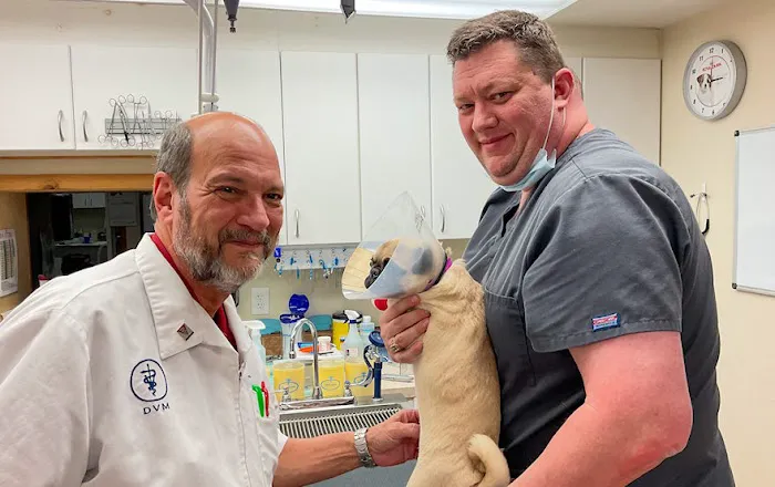 Alpine Animal Hospital & Veterinary Services 9