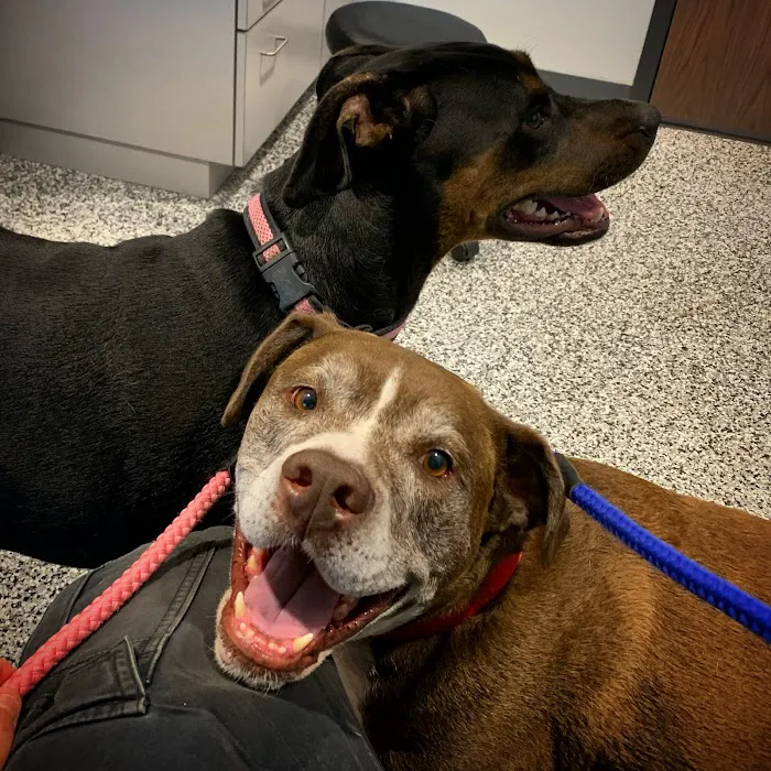 Murphy Animal Clinic 12